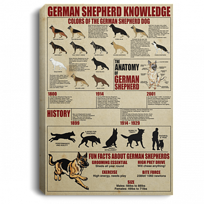 German Shepherd Knowledge Gallery Wrapped Framed Canvas Prints - Unframed Poster - Home Decor Wall Art