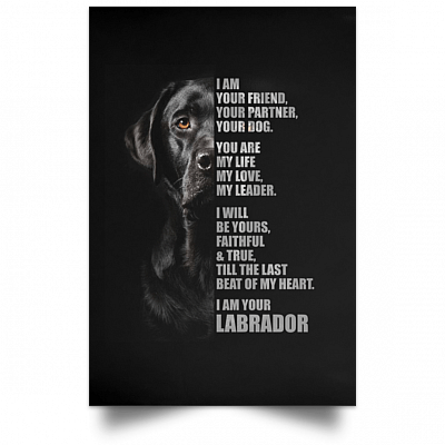 Unframed Poster