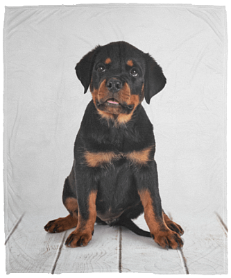 Rottweiler In Bed Fleece Blanket - Premium Sherpa Blanket - Woven Blanket