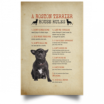 Unframed Poster