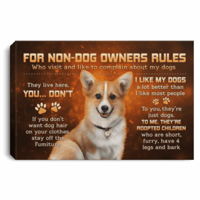 For Non-Dog Owners Rules For Who Visit And Like To Complain My Corgi Dogs Framed Canvas Prints - Unframed Poster