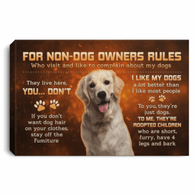 For Non-Dog Owners Rules For Who Visit And Like To Complain My Labrador Dogs Framed Canvas Prints - Unframed Poster