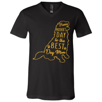 V-Neck T-Shirt