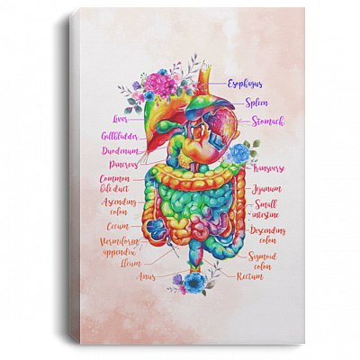 Digestive System Anatomy Floral Gallery Wrapped Framed Canvas Prints - Unframed Poster - Home Decor Wall Art