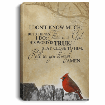 There Is a God His Word Is True Gallery Wrapped Framed Canvas Prints - Unframed Poster - Home Decor Wall Art, White, 0.75'' Framed Canvas