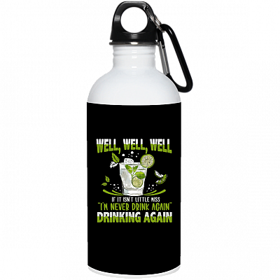 20 oz. Stainless Water Bottle