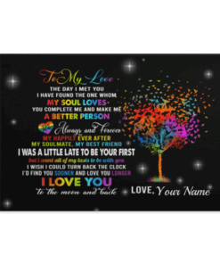 Personalized To My Love The Day I Met You I Have Found The One LGBT Framed Canvas Prints - Unframed Poster, White, 0.75'' Framed Canvas