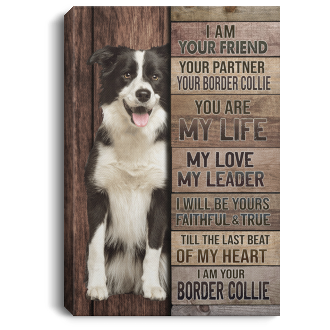 I Am Your Friend Your Partner Your Border Collie Gallery Wrapped Framed Canvas Prints - Unframed Poster, White, 0.75'' Framed Canvas