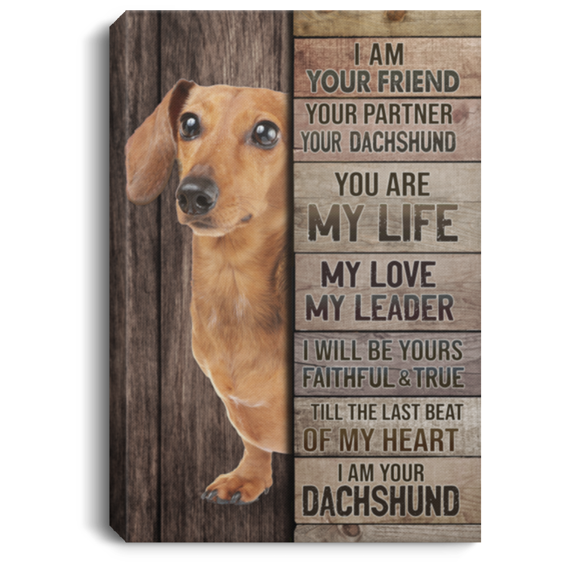 I Am Your Friend Your Partner Your Dachshund Gallery Wrapped Framed Canvas Prints - Unframed Poster, White, 0.75'' Framed Canvas