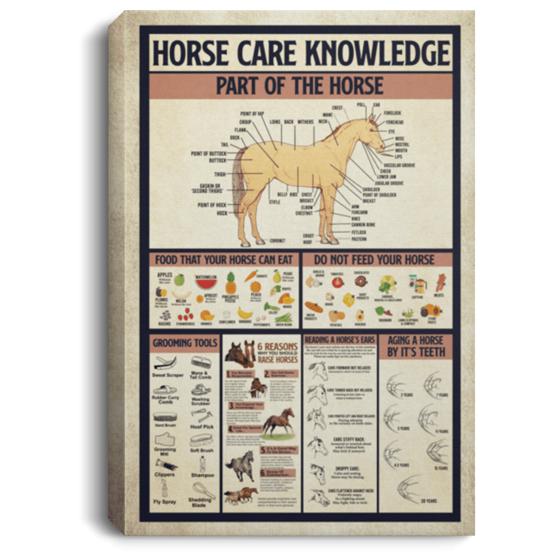 Horse Care Knowledge Framed Canvas - Unframed Poster - Love Horse Wall Art, White, 0.75'' Framed Canvas