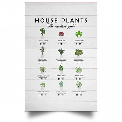 Unframed Poster