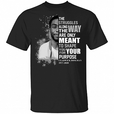 The Struggles Along the Way Are only Meant to Shape You for Your Purpose - R.I.P Chadwick T-Shirt, Black, Unisex T-Shirt