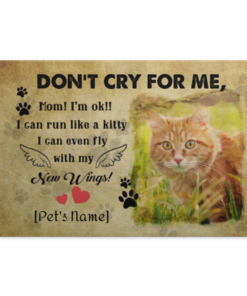 Personalized Don't Cry For Me Mom I'm Ok I Can Run Like A Kitty Tabby Cat Framed Canvas Prints - Unframed Poster, White, 0.75'' Framed Canvas