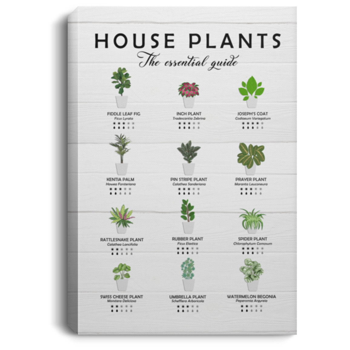 House Plants The Essential Guide Gallery Wrapped Framed Canvas Prints – Plant Lover Gift Unframed Poster, White, 0.75'' Framed Canvas