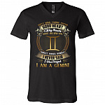 Gemini Dirty Mind Caring Friend Good Heart Filthy Mouth I Never Said I'm Perfect Zodiac T-Shirt - V Neck, Black, V-Neck T-Shirt