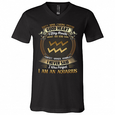 Aquarius Dirty Mind Caring Friend Good Heart Filthy Mouth I Never Said I'm Perfect Zodiac T-Shirt - V Neck, Black, V-Neck T-Shirt