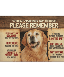 Golden Retriever When Visiting My House Please Remember Gallery Wrapped Framed Canvas Prints - Unframed Poster, White, 0.75'' Framed Canvas