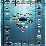 Love Sharks - Sharks Dictionary Collection Week Fleece Blanket - Premium Sherpa Blanket, White, Cozy Plush Fleece Blanket - 50x60