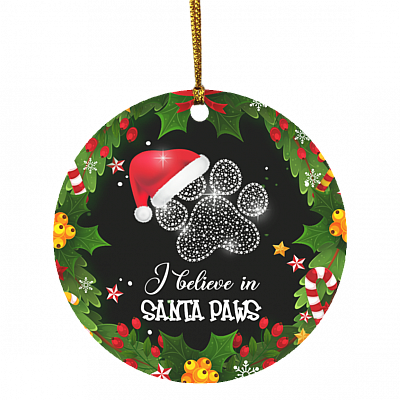 I Believe in Santa Paws Funny Christmas Cat Flat Holiday Circle Ornament, White, Circle Ornament