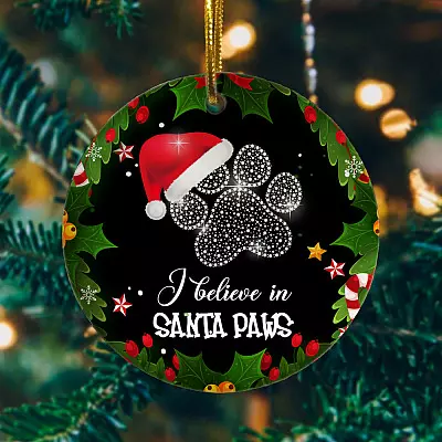Alternative view of I Believe in Santa Paws Funny Christmas Cat Flat Holiday Circle Ornament