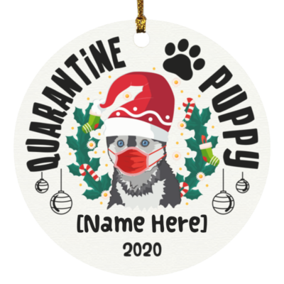 Circle Ornament