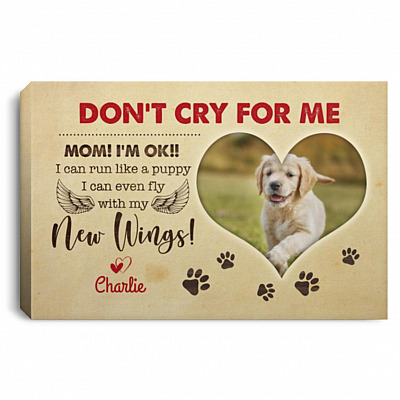 Personalized Photo Don't Cry For Me Mom, White, 0.75'' Framed Canvas