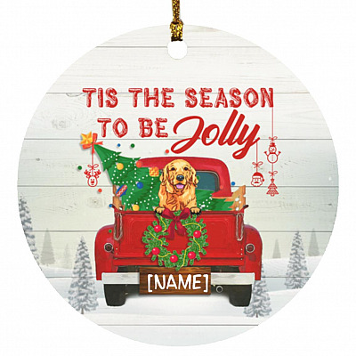 Circle Ornament