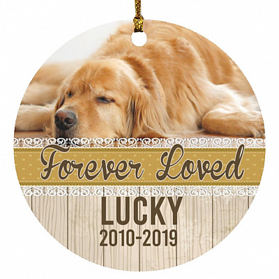 Circle Ornament