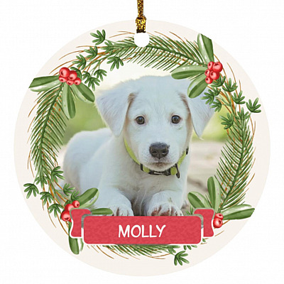 Circle Ornament
