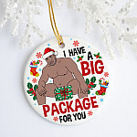 Barry Wood Merry Barry Christmas I Got a Big Package for You Funny Dirty Christmas Flat Holiday Circle Ornament