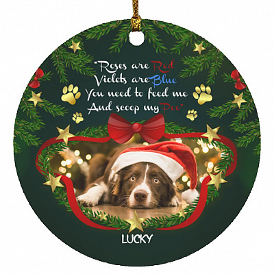 Circle Ornament