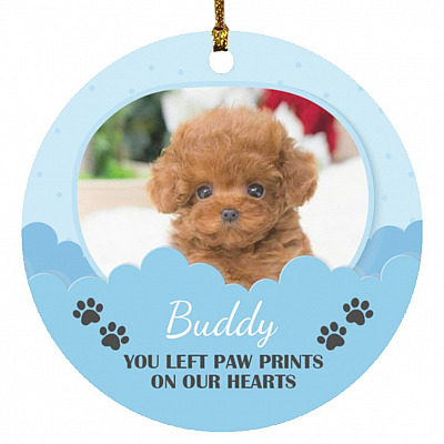 Circle Ornament
