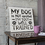 4O_ Dog Spoiled-mk copy