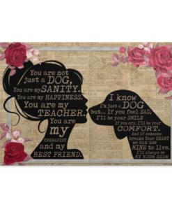 Beagle You Are Not Just A Dog You Are My Sanity Framed Canvas Prints - Unframed Poster - Home Decor Wall Art, White, 0.75'' Framed Canvas