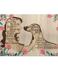 Dachshund Girl Dog You Are Not Just A Dog You Are My Sanity Framed Canvas Prints - Unframed Poster, White, 0.75'' Framed Canvas