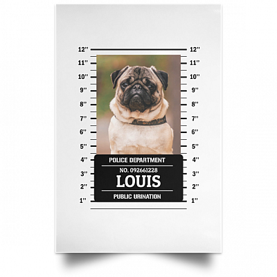 Unframed Poster