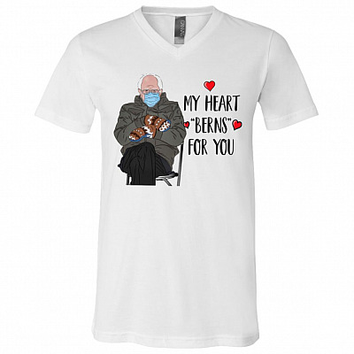 bern vneck, White, V-Neck T-Shirt