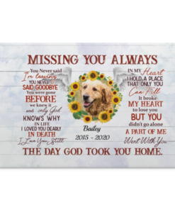 Personalized Photo Pet Missing You Always You Never Said I'm Leaving Memorial Framed Canvas - Unframed Poster, White, 0.75'' Framed Canvas