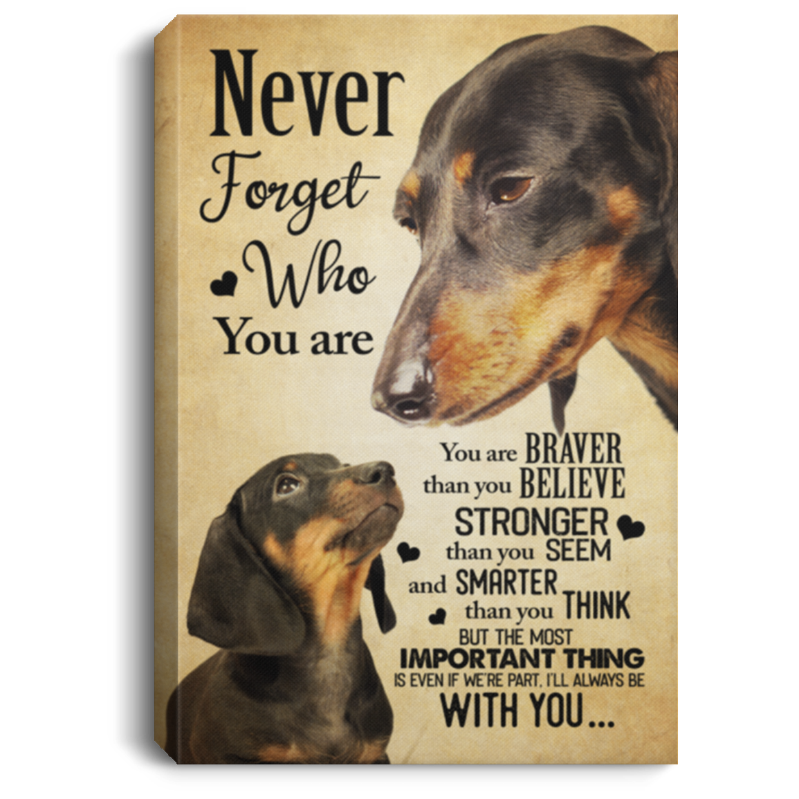 Dachshund Never Forget That Who You Are You Are Braver Gallery Wrapped Framed Canvas Prints - Unframed Poster, White, 0.75'' Framed Canvas