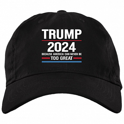 Brushed Twill Dad Cap