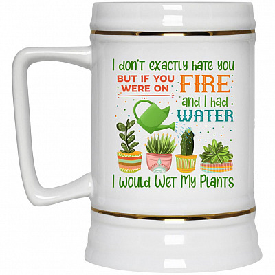 22 oz. Beer Stein