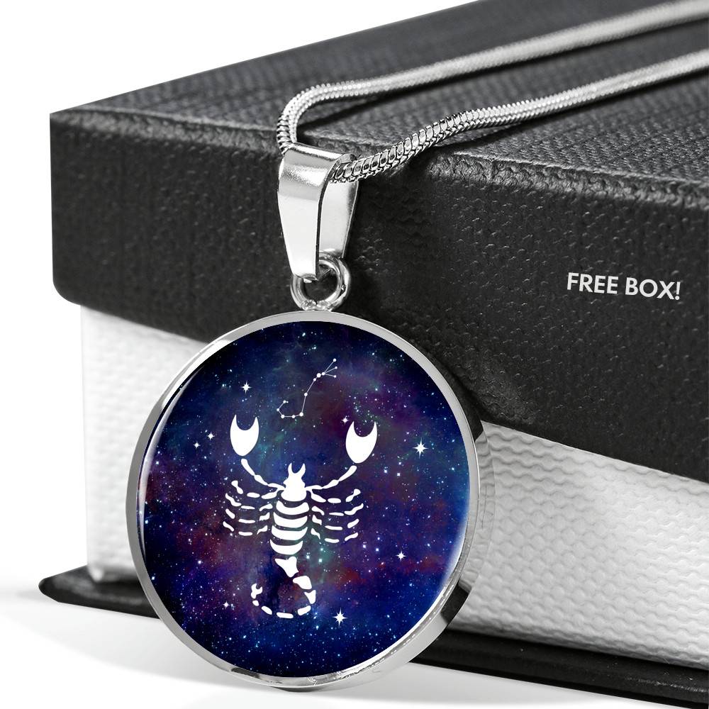 Scorpio Zodiac Symbol Circle Pendant Necklace - 12 Zodiac Horoscope Jewelry - Circle Luxury Necklace (Silver)