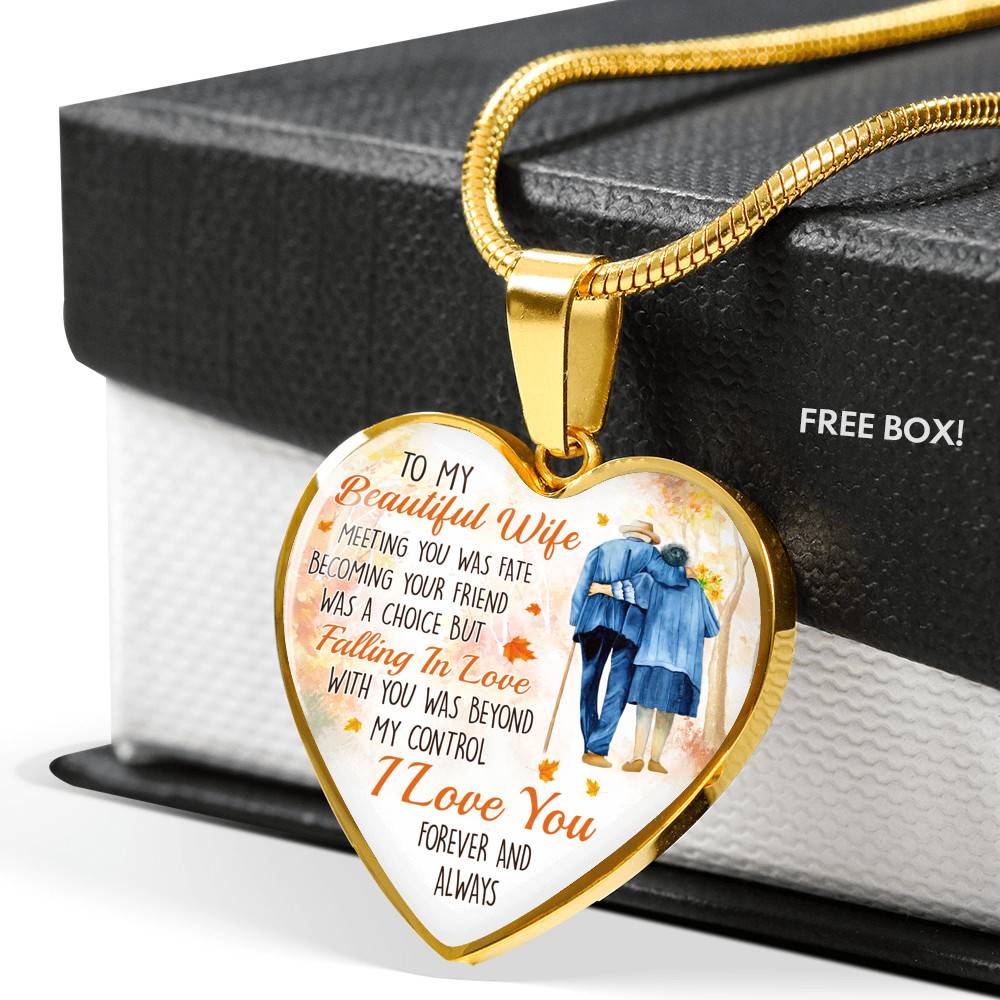 To My Beautiful Wife Meeting You Was Fate Becoming Your Friend Was a Choice Old Couple Heart Pendant Necklace