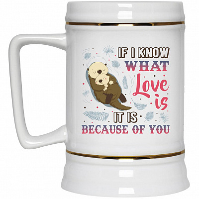 22 oz. Beer Stein