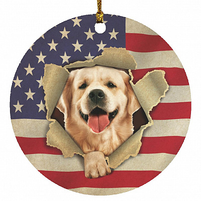 Circle Ornament