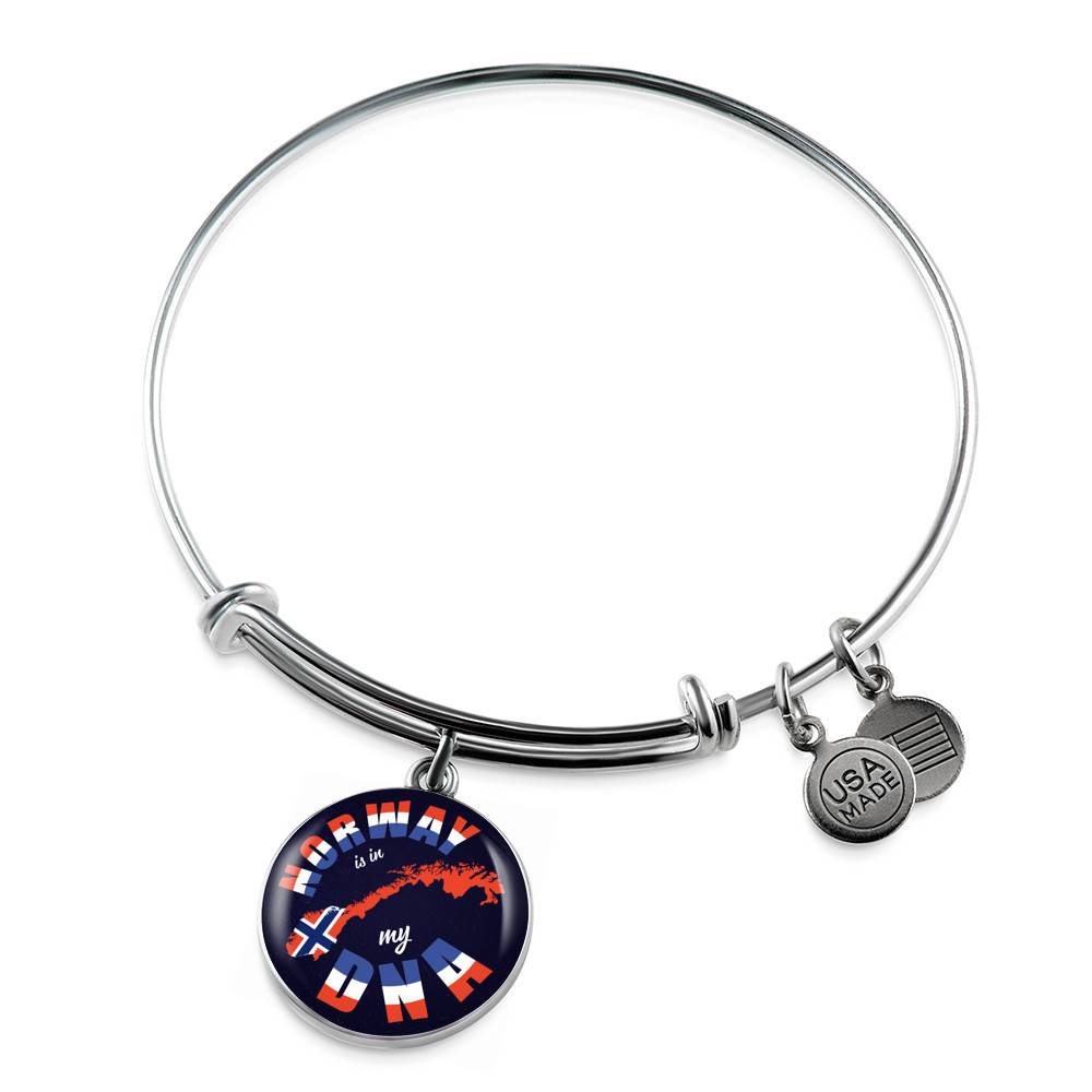 Norway Is In My DNA Luxury Circle Pendant Necklace - Bangle - Norway Lover Gifts