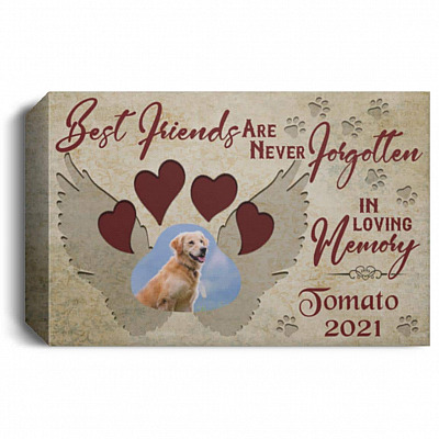 1.5'' Deluxe Canvas