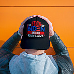 2O. Gun Laws mk1
