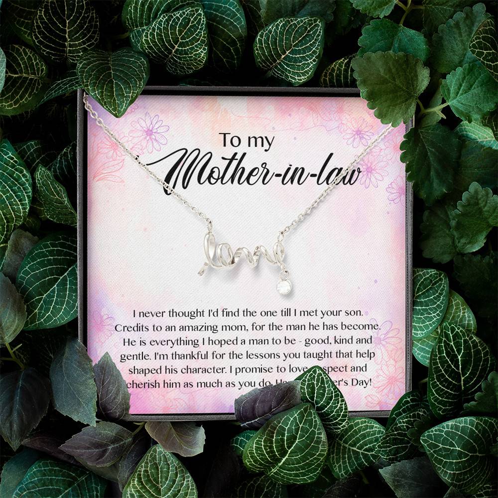 To My Mother-In-Law I Never Thought I'd Find The One Till I Met Your Son Scripted Love Pendant Necklace