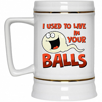 22 oz. Beer Stein